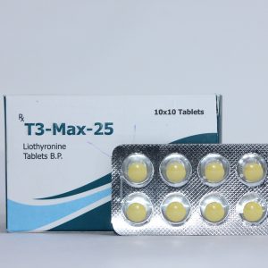 T3-Max-25