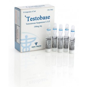 Testobase